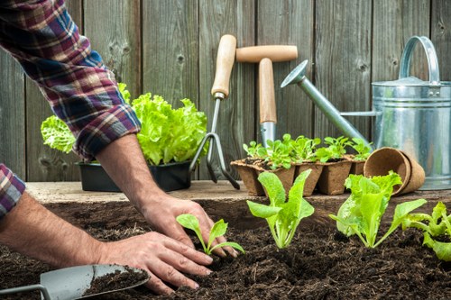 Professional gardening services improving a Nunhead garden
