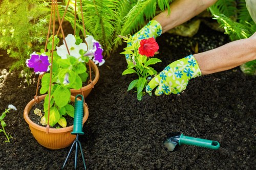 Low-carbon vans used for sustainable local garden work