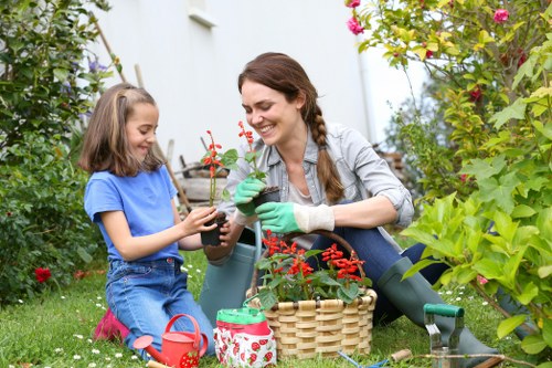 Patio maintenance and cleaning in Nunhead