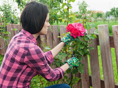 Accessible content support for Nunhead gardening visitors