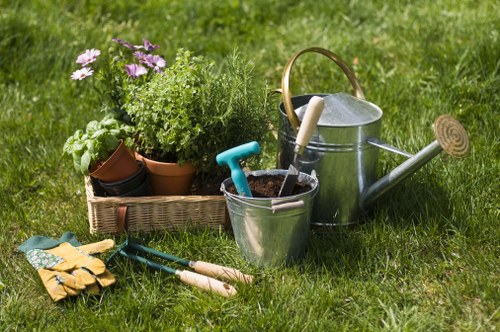 Professional lawn care in Nunhead with aeration and turf treatment