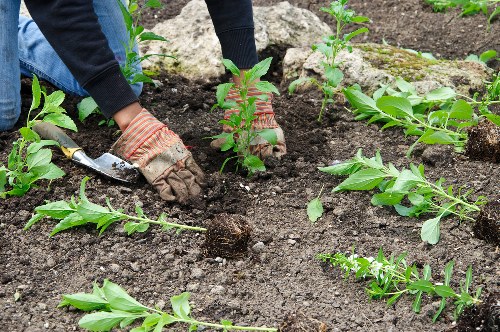 Team working carefully around garden hazards and weather conditions