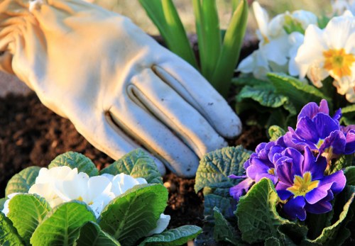 Gardeners Nunhead enhancing a leafy South London garden