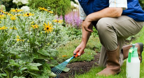 Professional tree removal service in Nunhead near a home