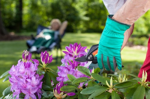 Local gardeners in Nunhead improving planting and borders