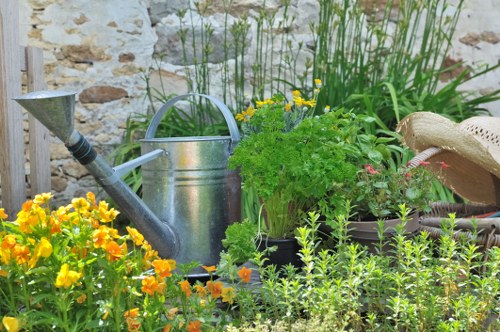 A Nunhead garden cared for by local gardening professionals