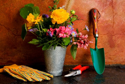 Governing law and final terms for garden services
