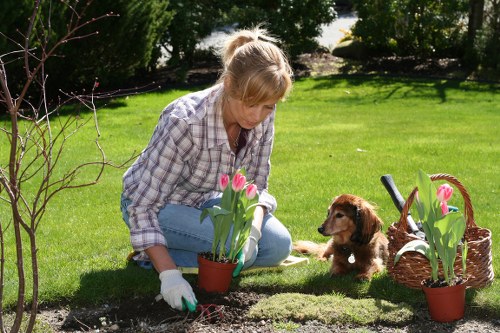 Explanation of cookie categories for a gardening website