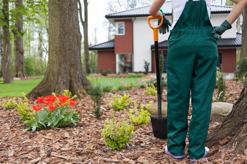 Seasonal lawn maintenance for a Nunhead property
