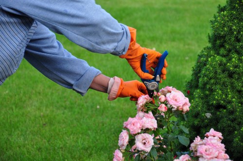 Closing a gardening complaint after a fair and practical resolution