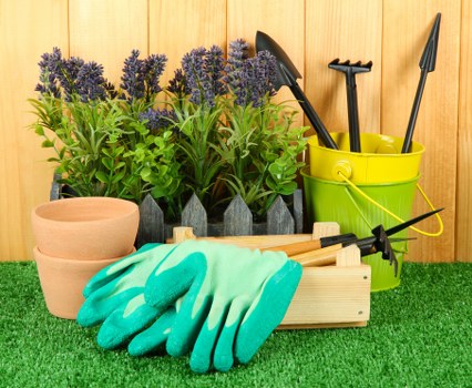 Nunhead outdoor space with regular garden care and trimmed shrubs