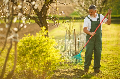 Seasonal hedge maintenance in a Nunhead front garden