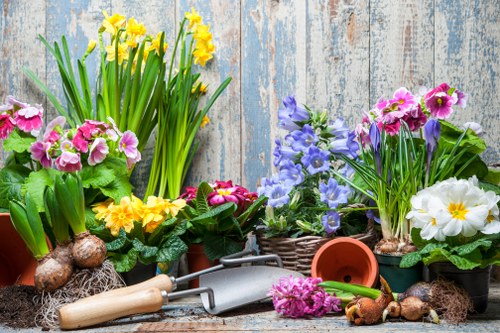 Professional garden care in Nunhead for a tidy outdoor space