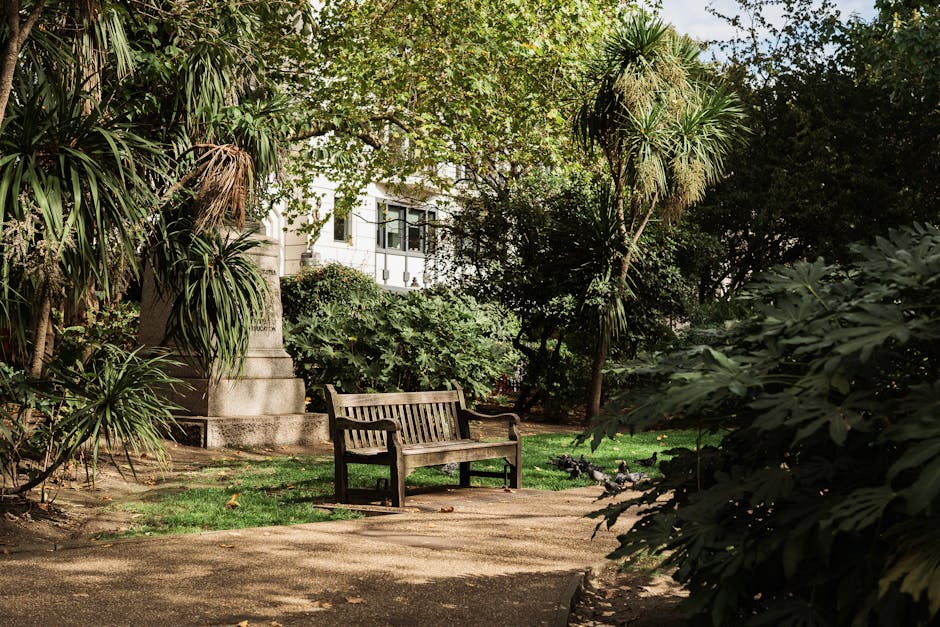 A peaceful public garden scene featuring a wooden bench situated on a gravel pathway. The garden is lush with a variety of plants, including large leafy shrubs and tall, spiky palm-like trees with tex